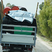 Tunesien-04-2012-060.JPG