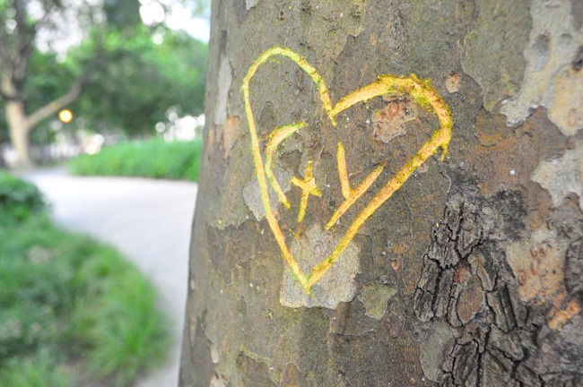 DSC_0860 DSC_0860