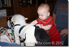 IMG_0642 IMG_0642