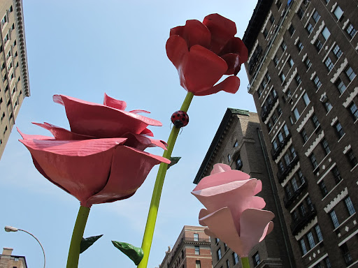The Roses evoke the 