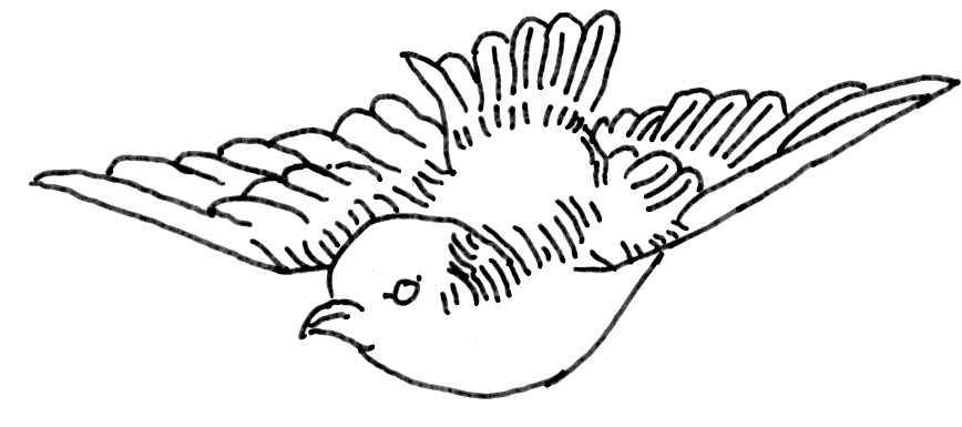[Bird%2520Pattern%255B2%255D.jpg]