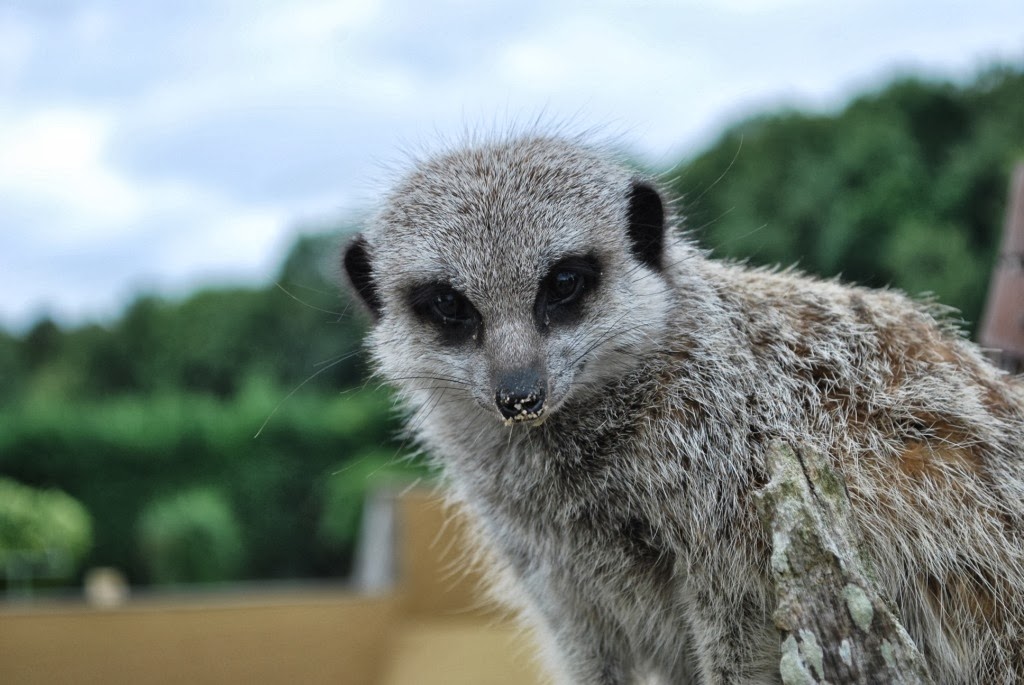 [DSC_0446%255B8%255D.jpg]