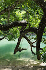 DSC06674.JPG