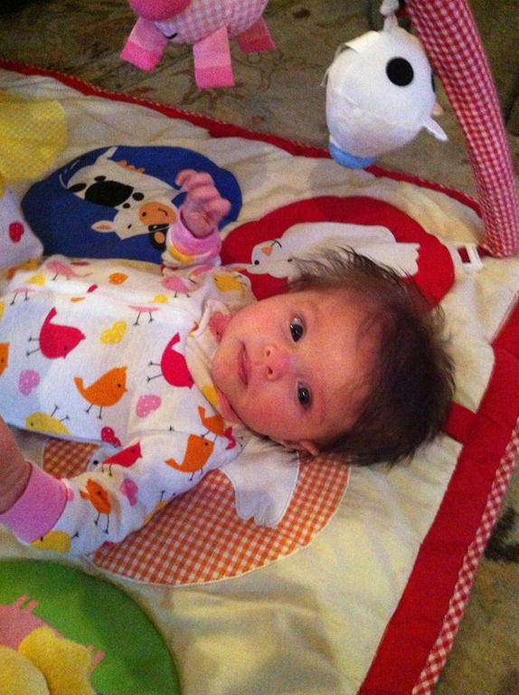 [iphone%2520pics%252012312%2520007%255B4%255D.jpg]