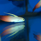DSC_2189.jpg