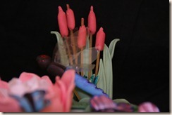 IMG_5377 IMG_5377