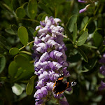 IMG_4724.jpg