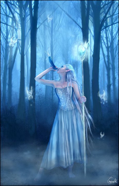 Night Forest Witchcraft, Witchcraft