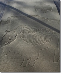 buffalo_panel1