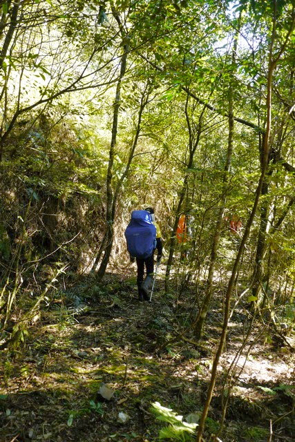 2013_0130-0131 復興雙障-嘎拉賀上唐穗山連走稜山_189 2013_0130-0131 復興雙障-嘎拉賀上唐穗山連走稜山_189