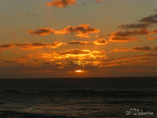 [P1000031%255B3%255D.jpg]