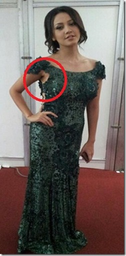Gambar pakai gaun nipis hingga nampak aset dan ketiak di ABPBH 2012