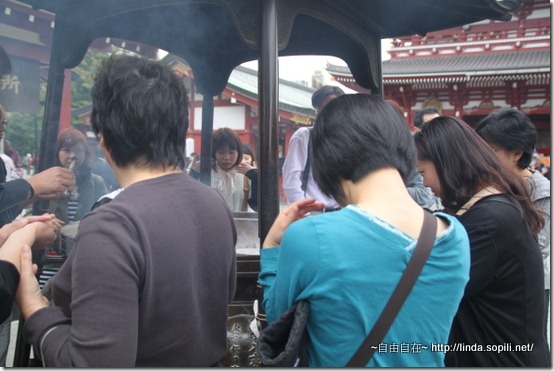 IMG_5115 IMG_5115