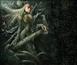 Spider Goddess