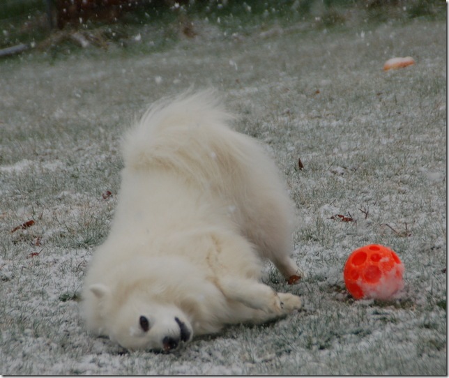 DSC_5495 DSC_5495