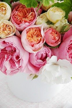 [tumblr_l4ddjsl8RF1qzlp95o1_250-its-m%255B1%255D.jpg]