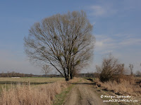 dsc07326.jpg