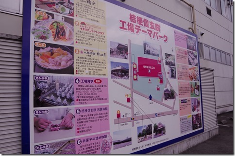 IMGP3730 IMGP3730