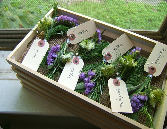 DSCF3428 katie pollard