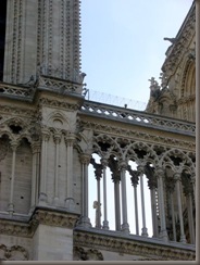 DSC06569 DSC06569