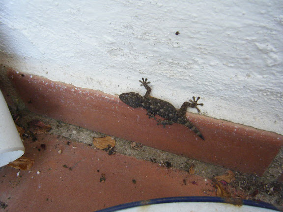 2011_07210001.jpg