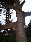 oregon_coast