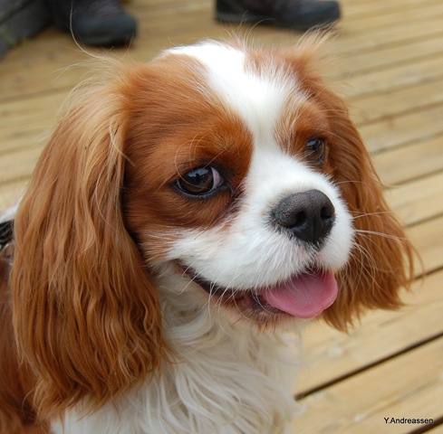 [DSC_6151%255B2%255D.jpg]