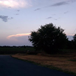 View album