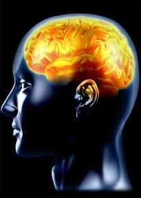 Cover of Michael Hall's Book Brain 101 How To Play The Brain Game For Fun And Profit