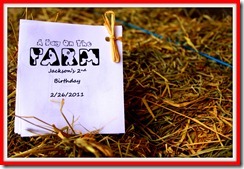 Jackson 2nd Birthday (6)