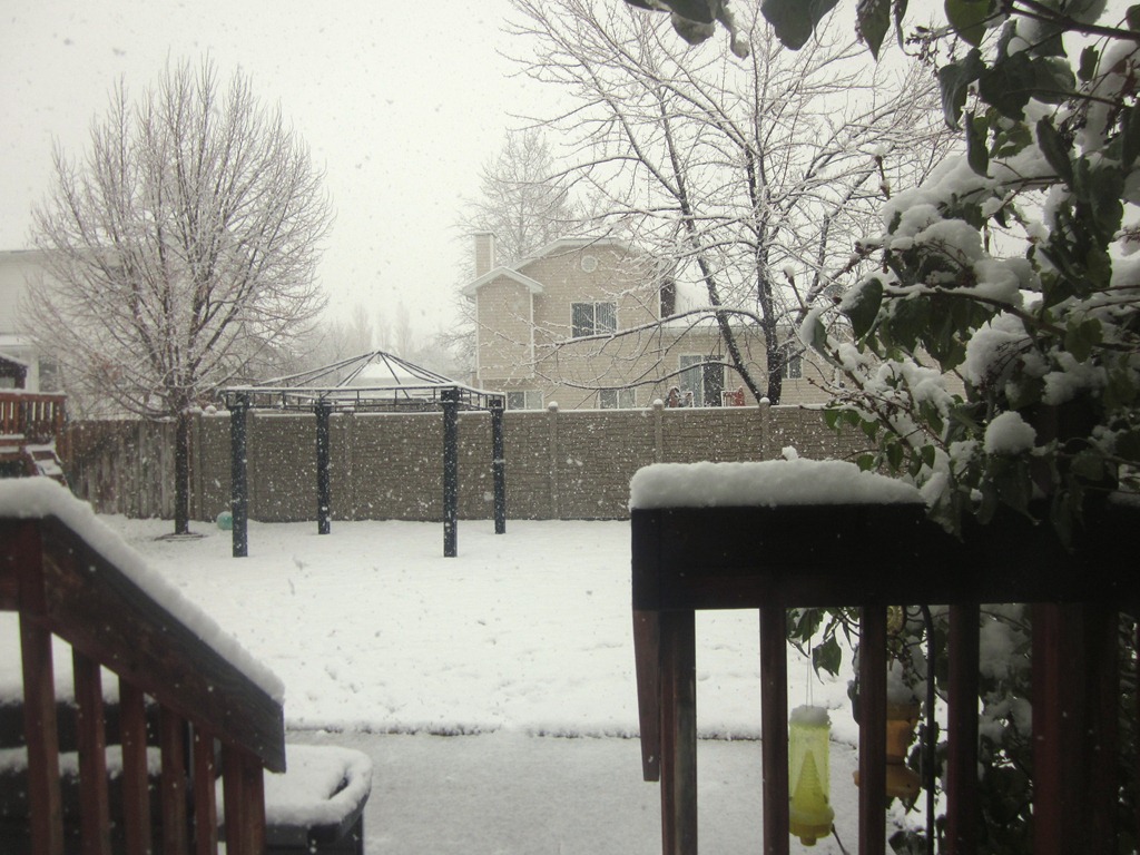 [IMG_3618%255B5%255D.jpg]