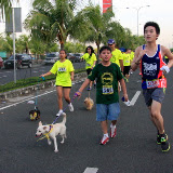 Pet Express Doggie Run 2012 Philippines. Jpg (88).JPG
