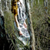 View album View album
