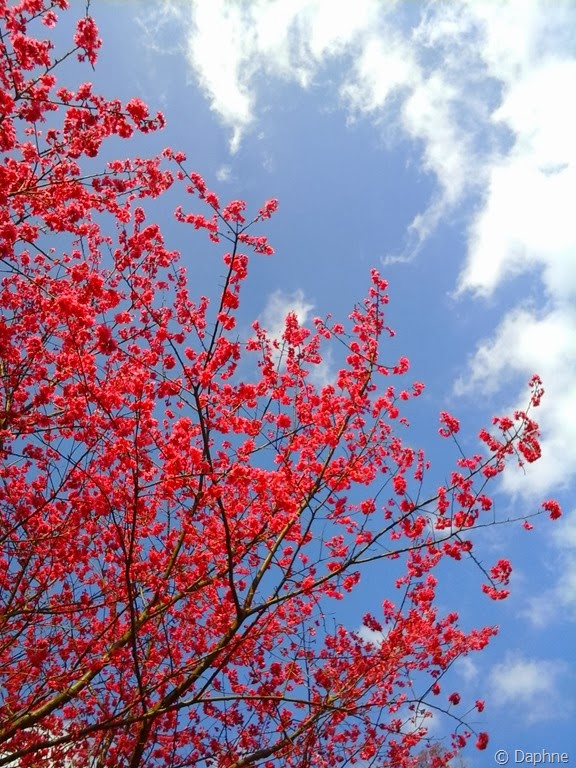 [2014-01-31%252012.28.06%255B5%255D.jpg]