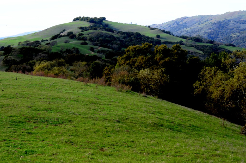 [finding-green_0464.jpg]