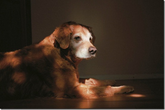 PHOTO:Charlotte Dumas / Barcroft USA PHOTO:Charlotte Dumas / Barcroft USA