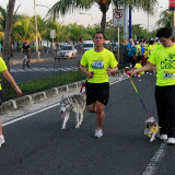Pet Express Doggie Run 2012 Philippines. Jpg (67).JPG