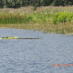 DSCN8219.JPG