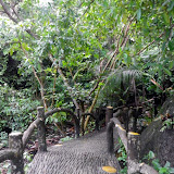 2010-06-25 Pangkor