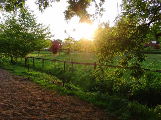 [CIMG7948%255B3%255D.jpg]