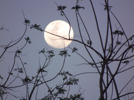 [Twilight-moon5.jpg]