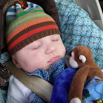 Pumpkin patch and carving 044.JPG