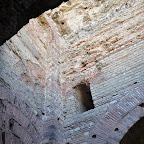 DSC_9331.jpg