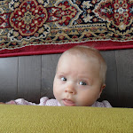 SAM_1484.JPG