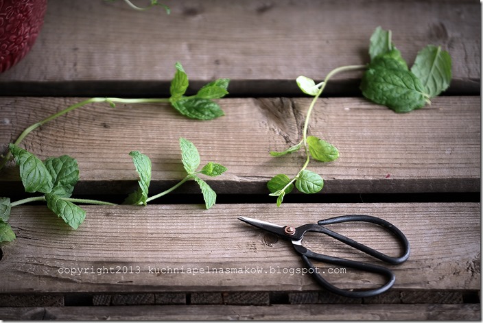 mint tea, herbata miętowa (9)