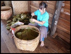 Myanmar, Inle Lake, Making Cigars, 10 September 2012 (1)