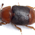 20120406-2b_4