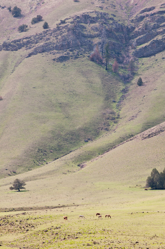 Picture from Bend Fly Shop