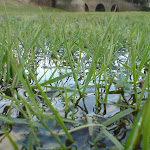 photoDSC00654.jpg