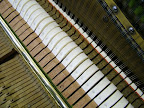 Ernst Kaps Upright